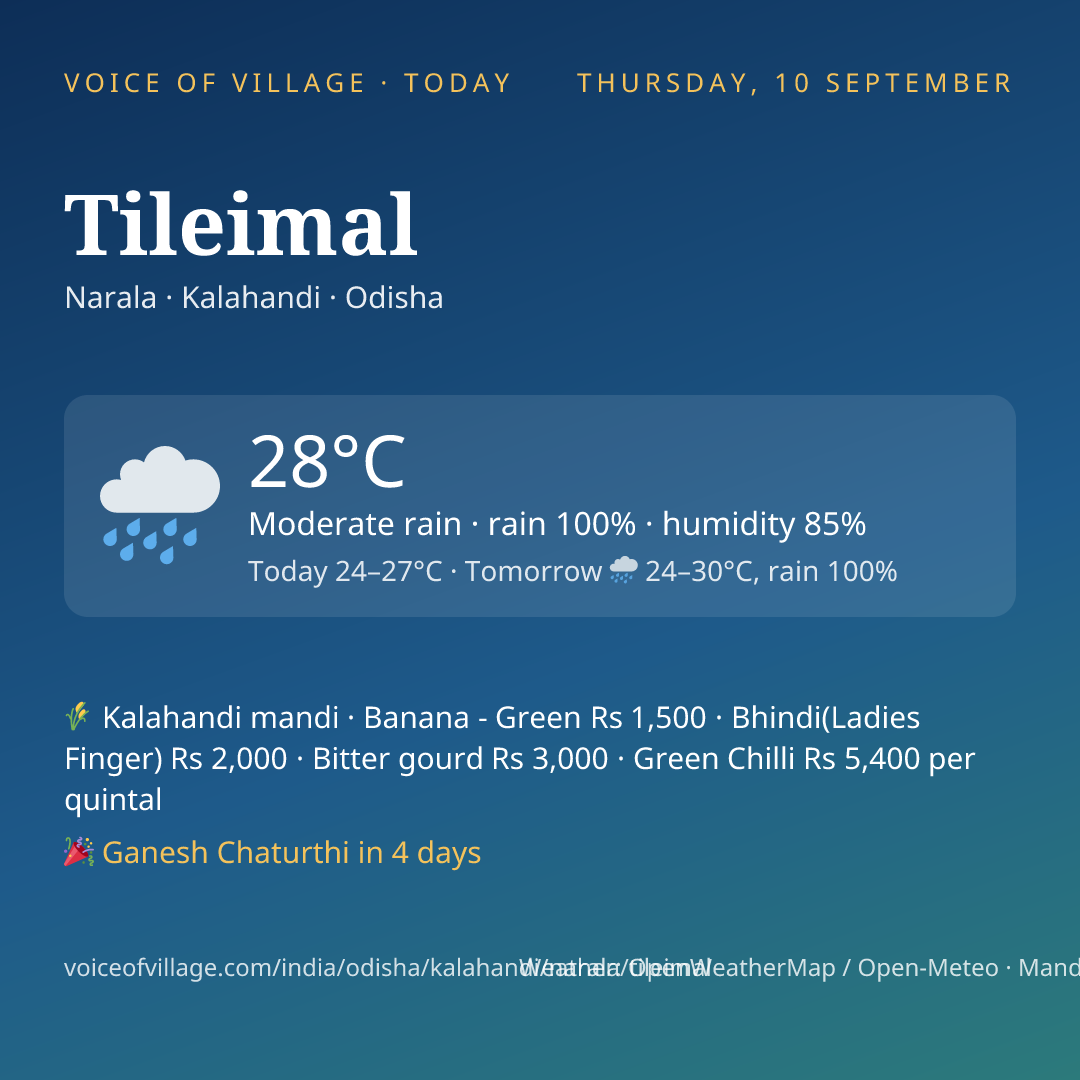 Tileimal today