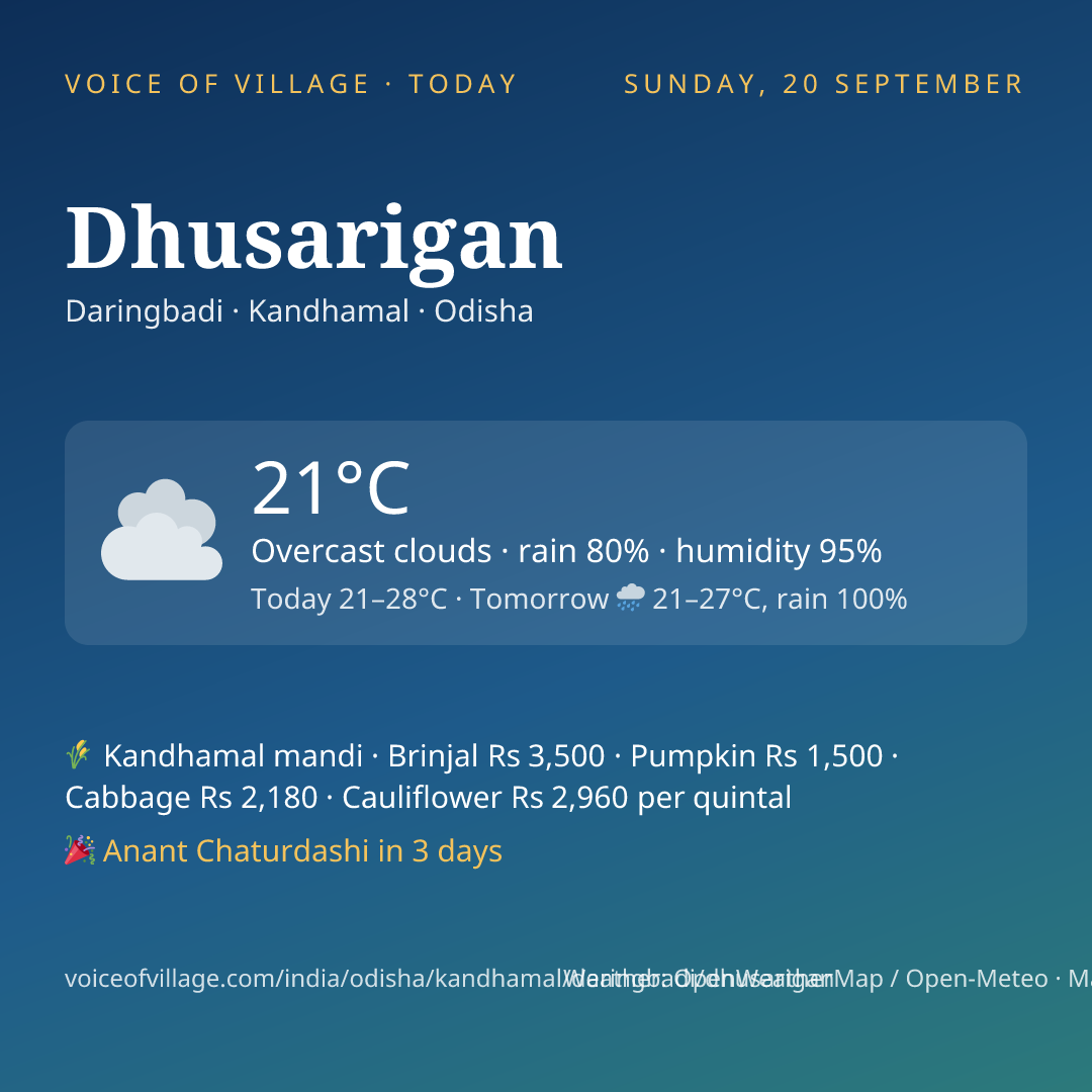 Dhusarigan today