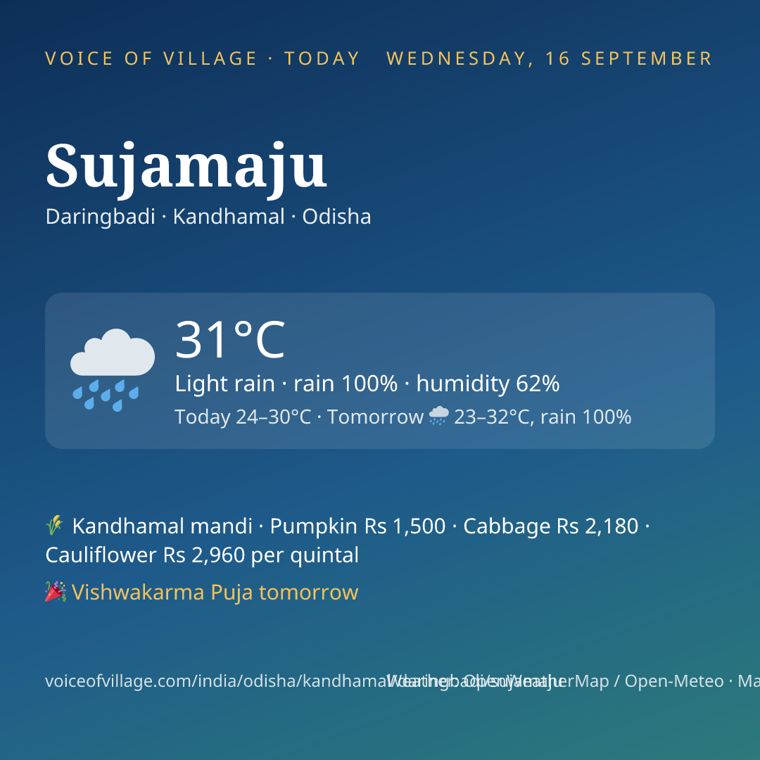 Sujamaju today