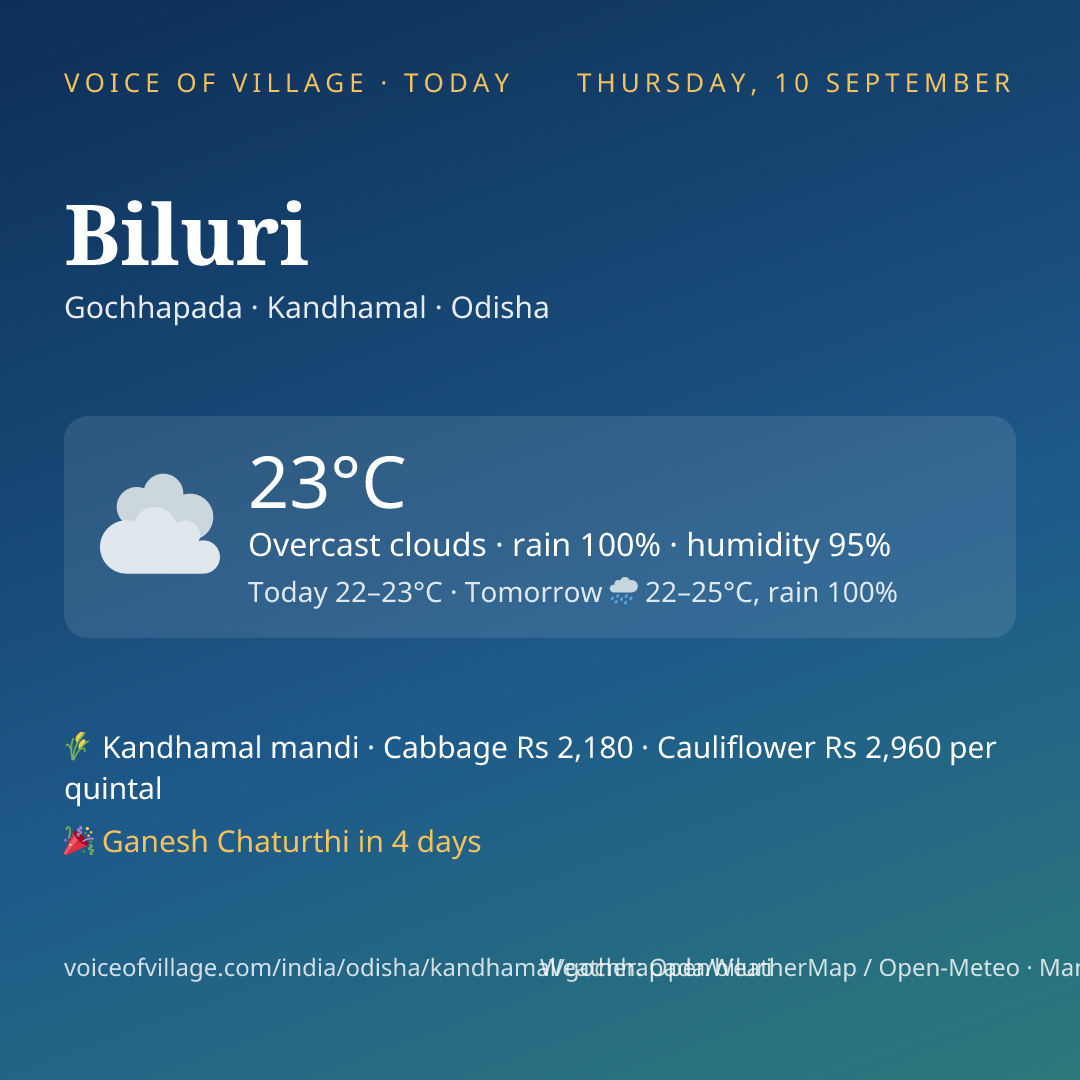 Biluri today