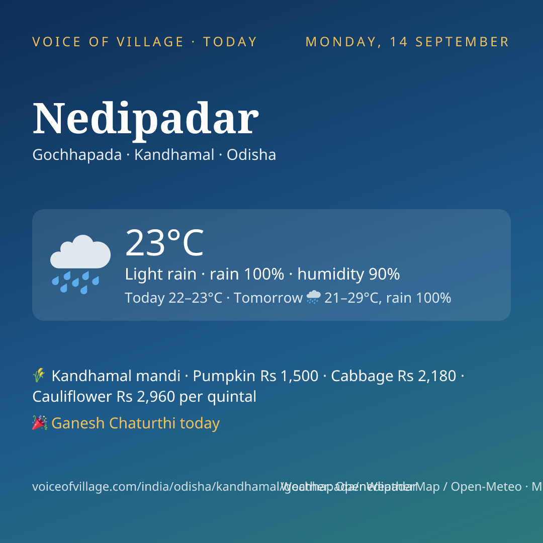 Nedipadar today