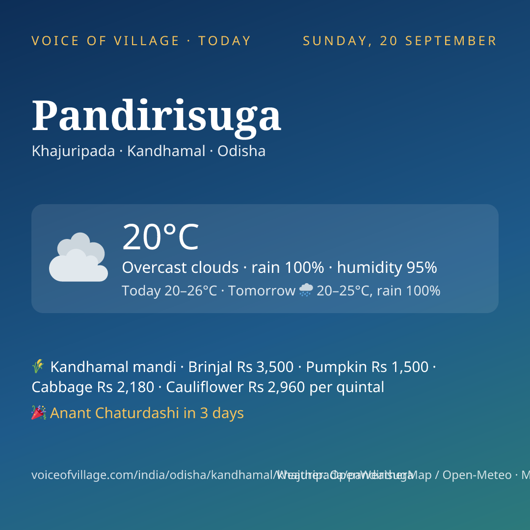 Pandirisuga today