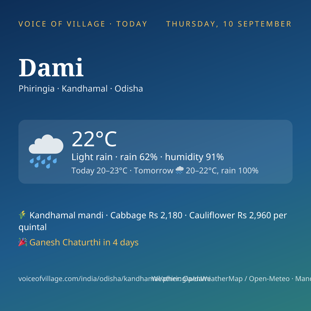 Dami today