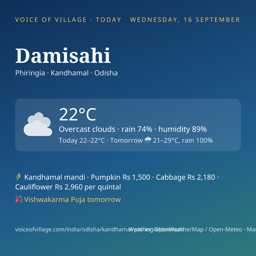Damisahi today