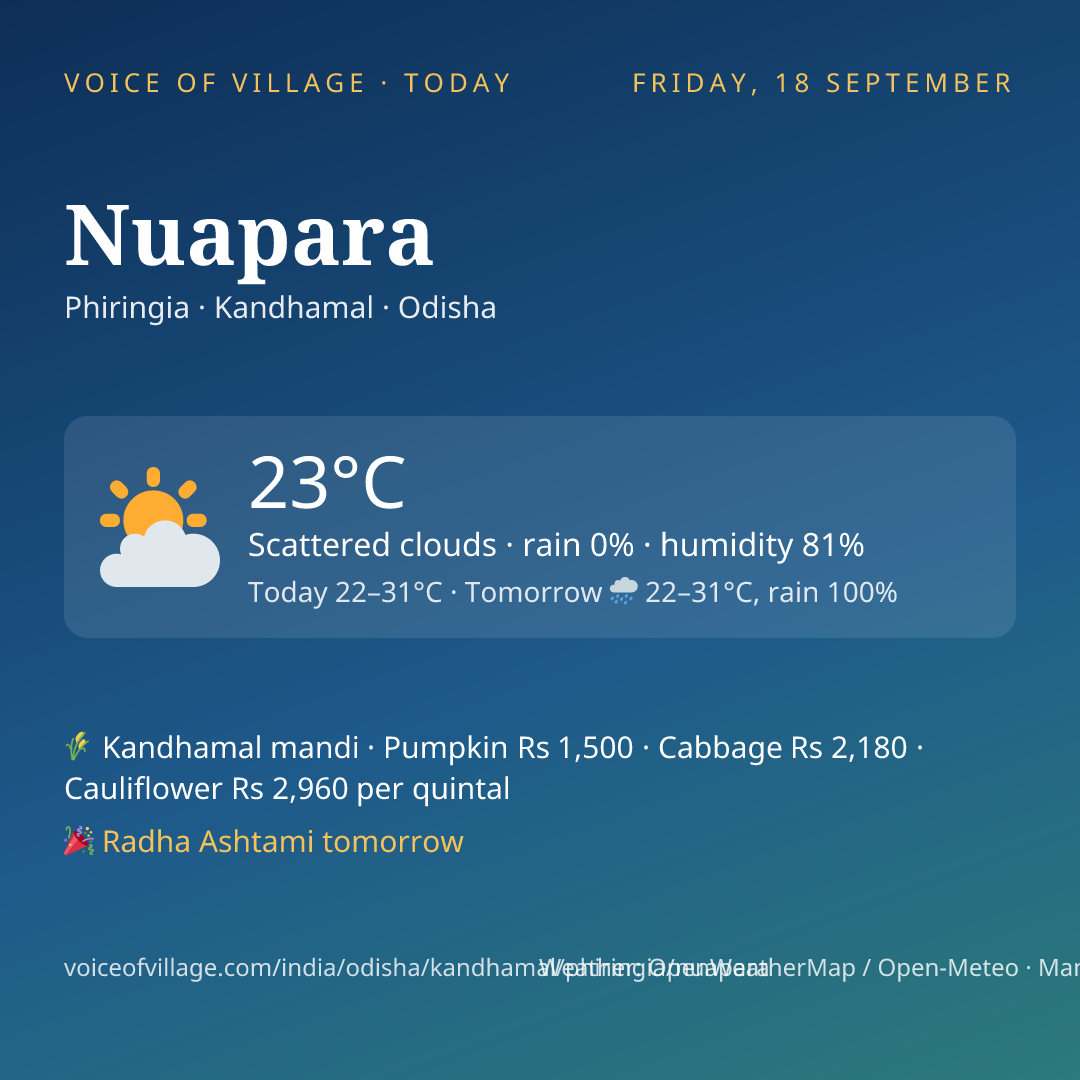 Nuapara today