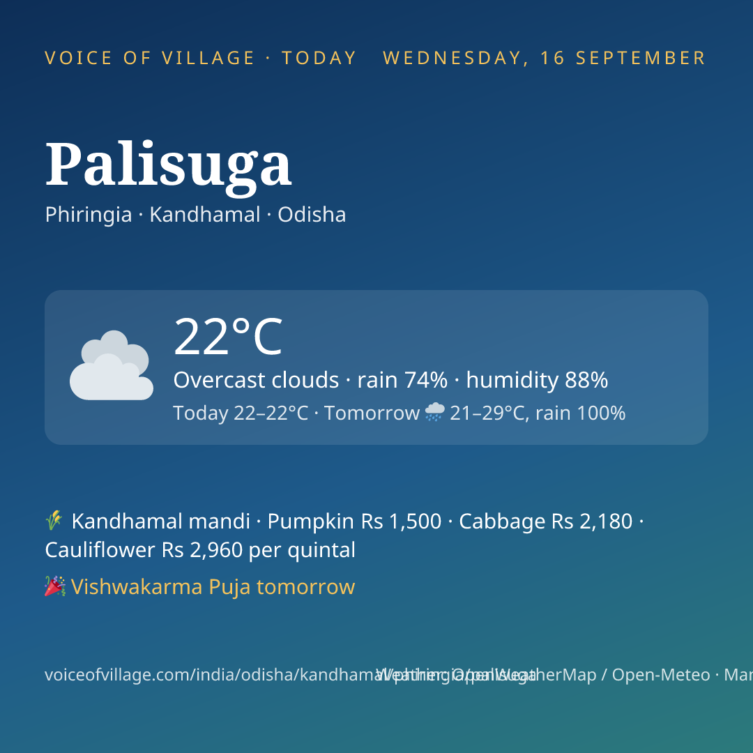 Palisuga today