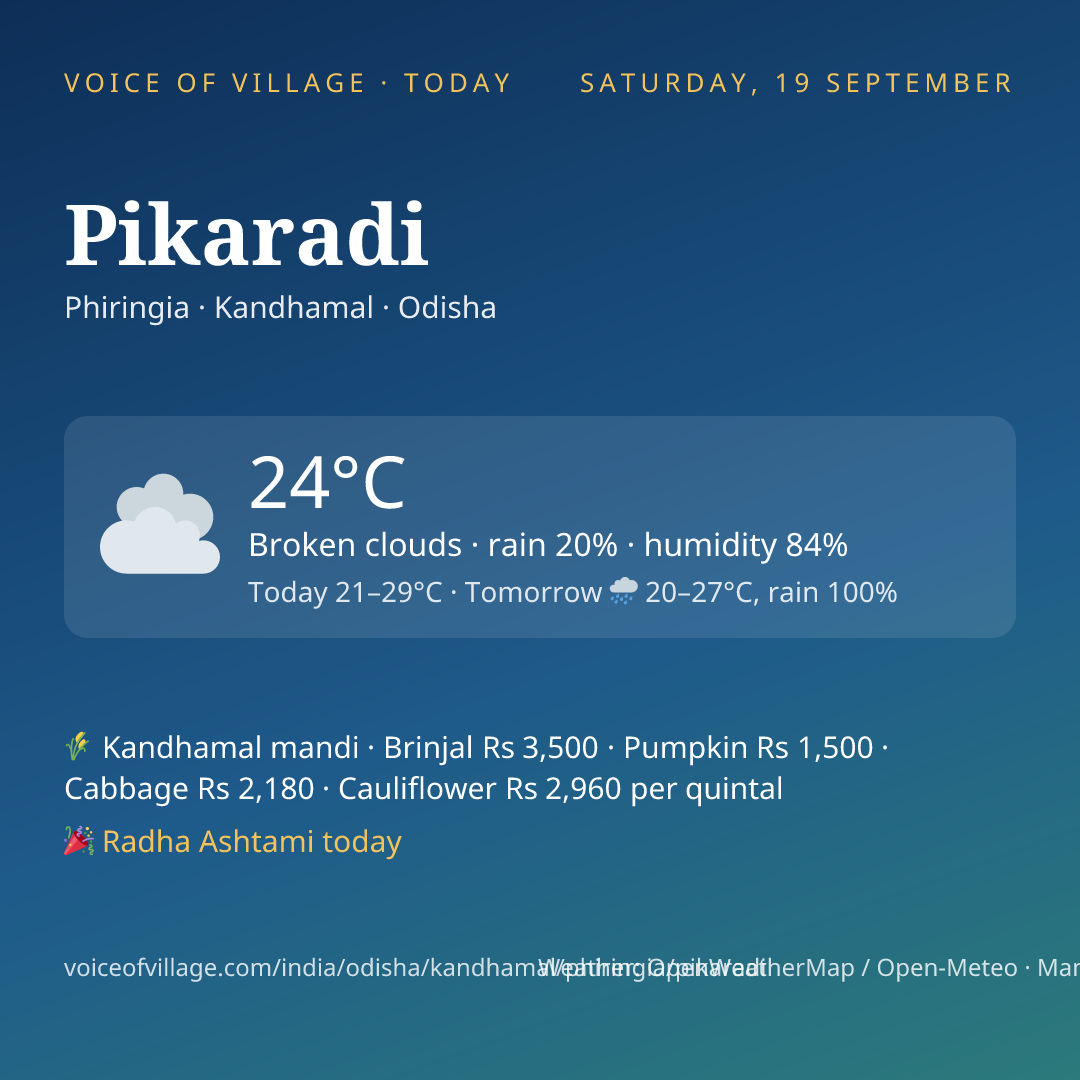Pikaradi today