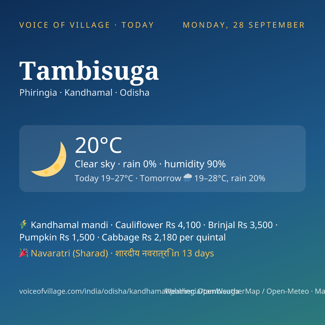 Tambisuga today