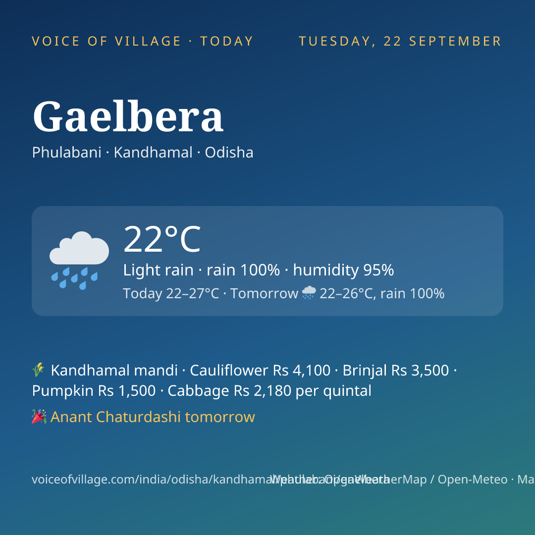 Gaelbera today