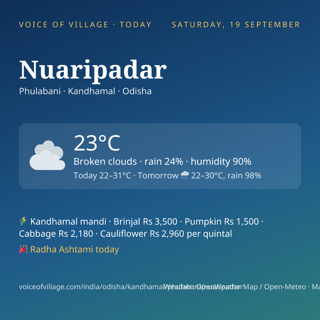 Nuaripadar today