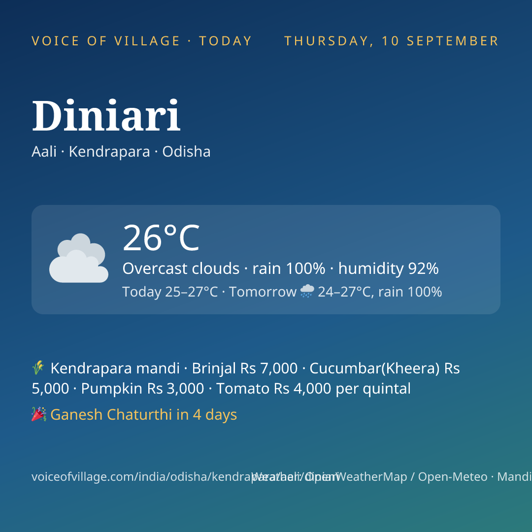 Diniari today