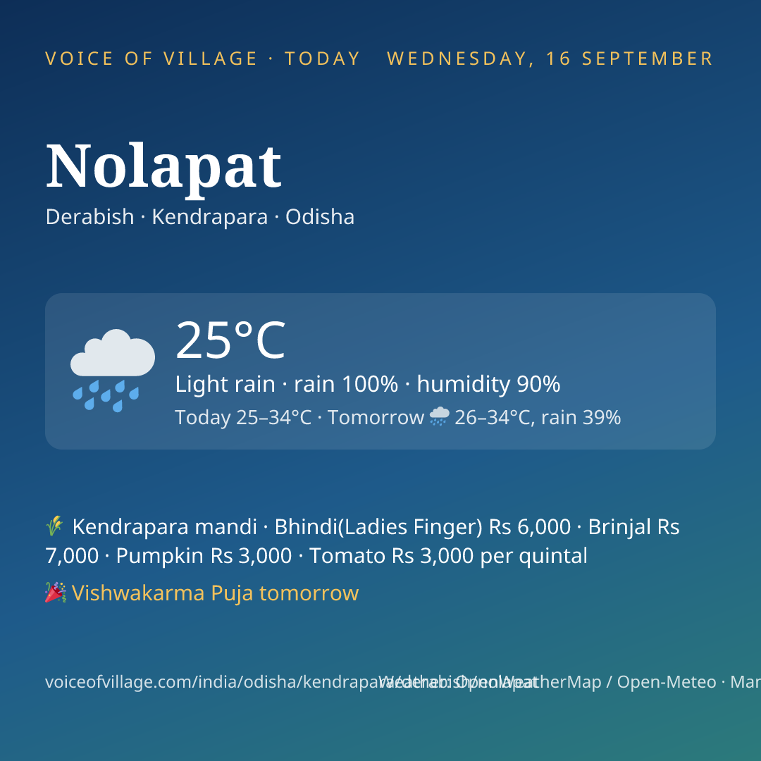 Nolapat today