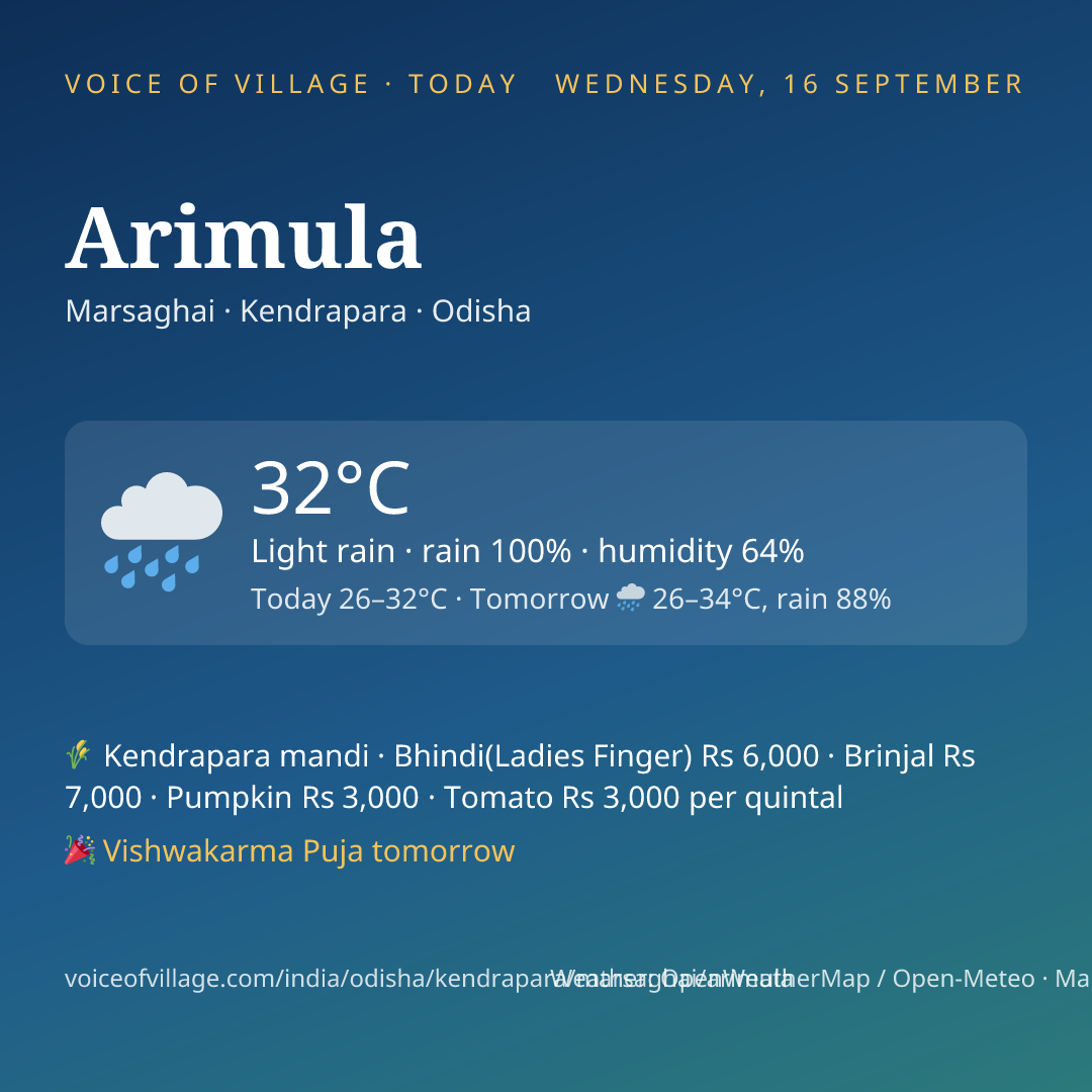 Arimula today