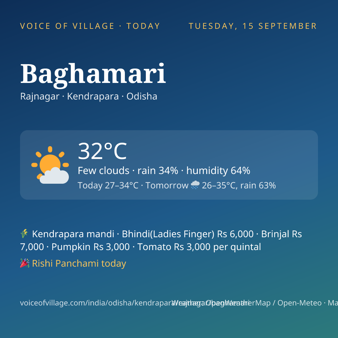 Baghamari today