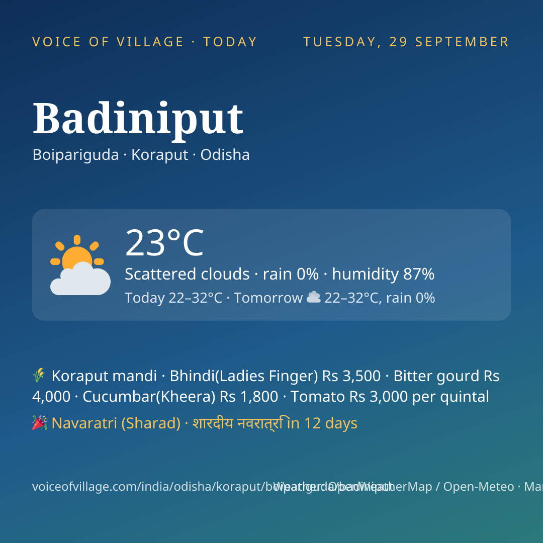 Badiniput today