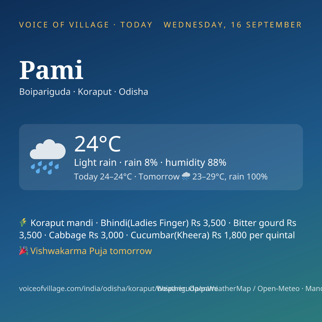 Pami today