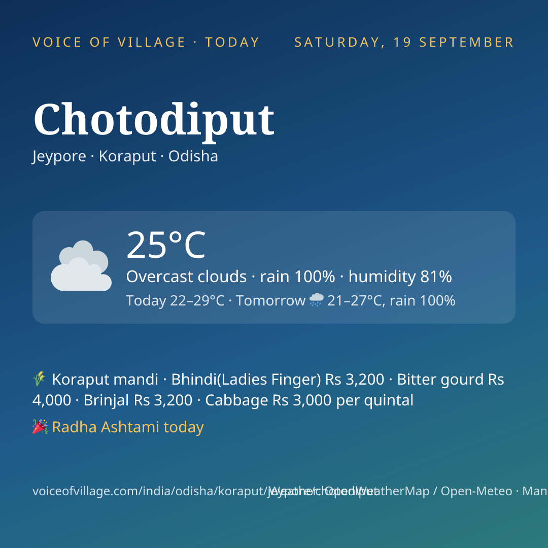 Chotodiput today