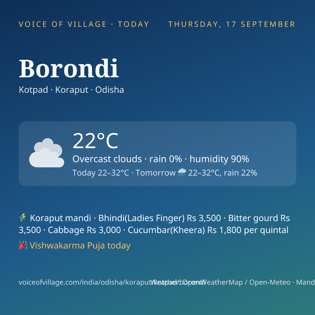 Borondi today
