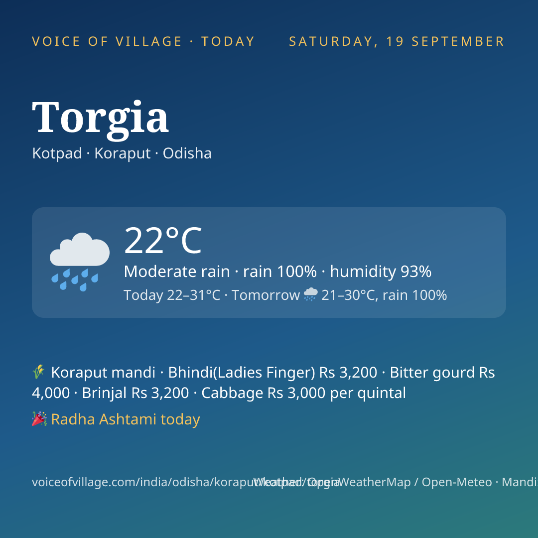 Torgia today