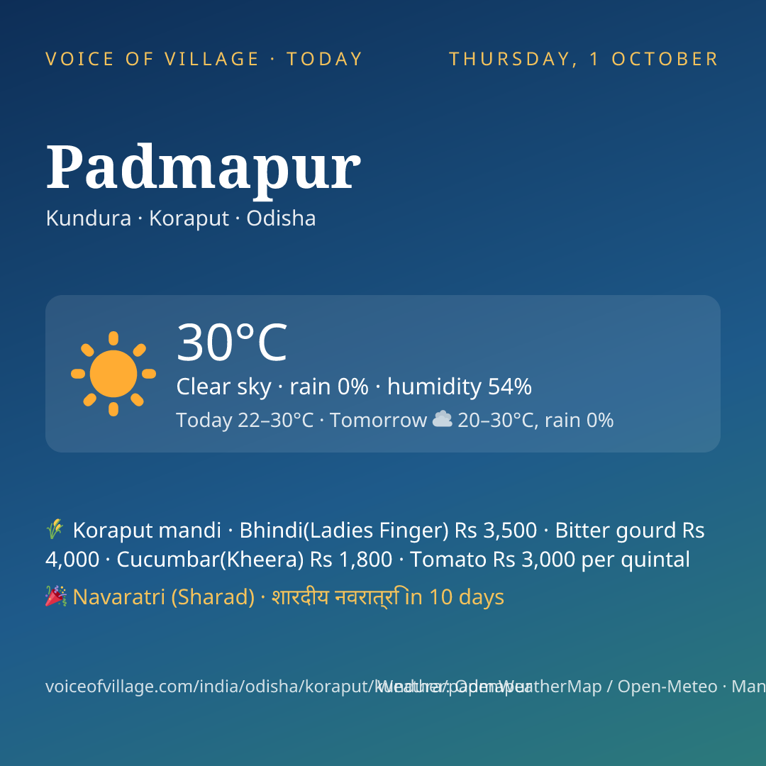 Padmapur today