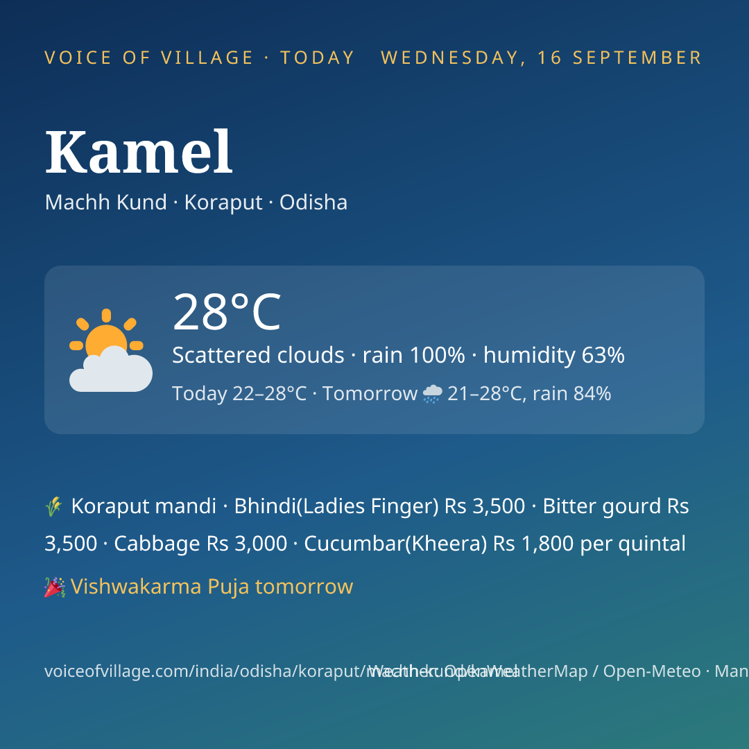 Kamel today