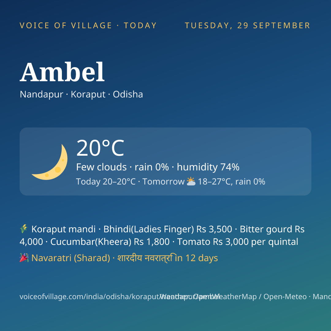 Ambel today