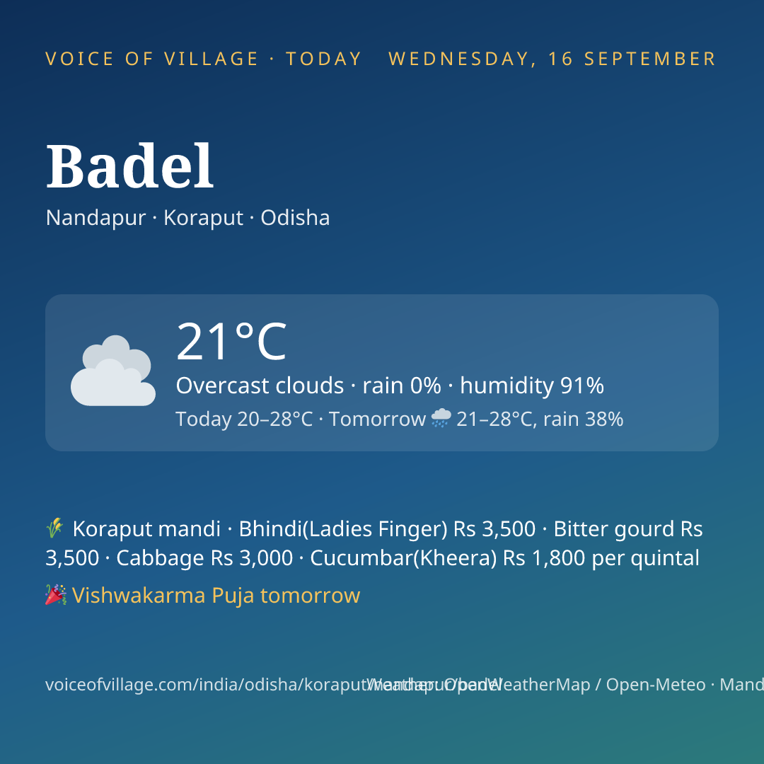 Badel today