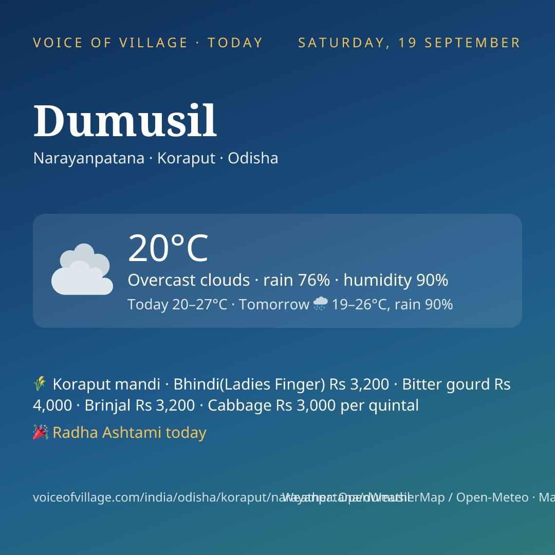 Dumusil today