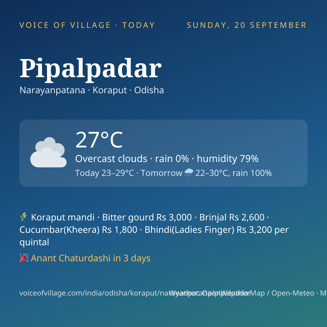Pipalpadar today