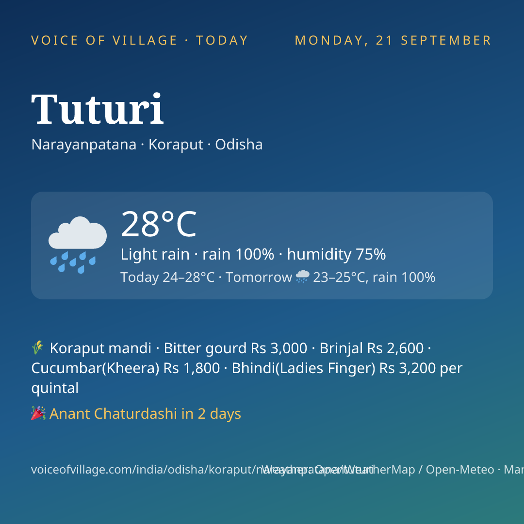 Tuturi today