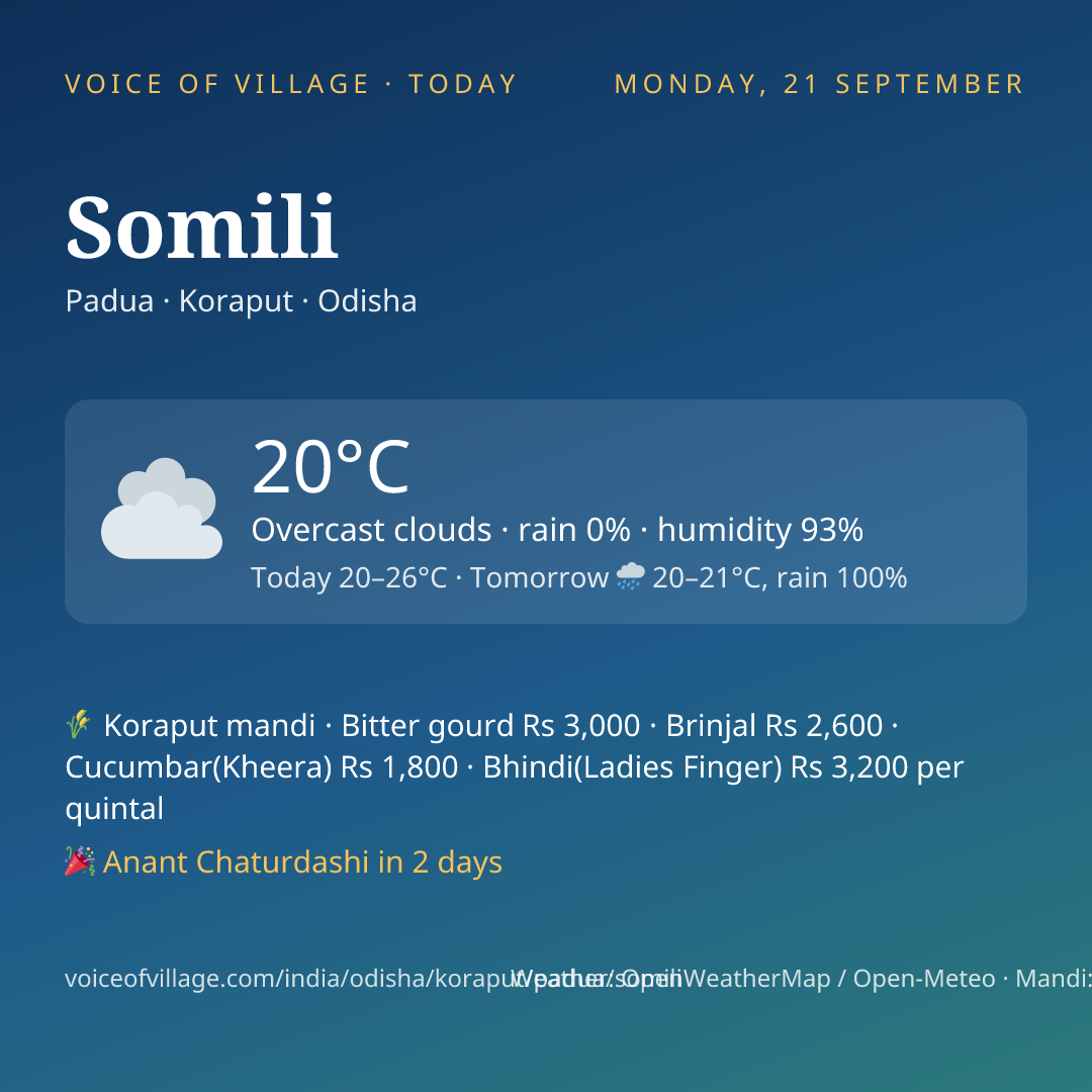 Somili today