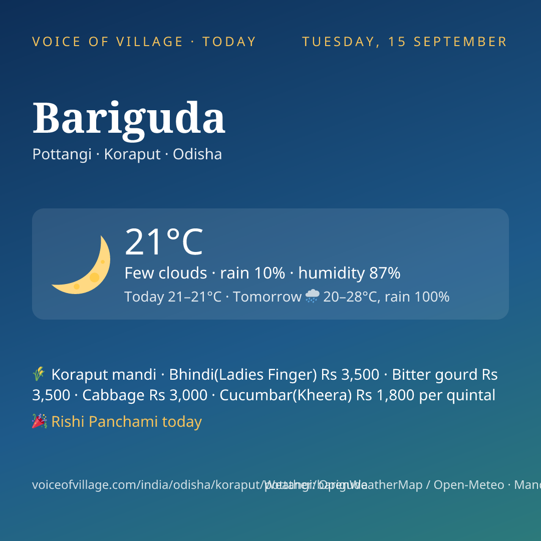 Bariguda today