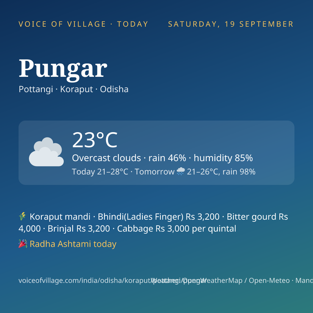 Pungar today