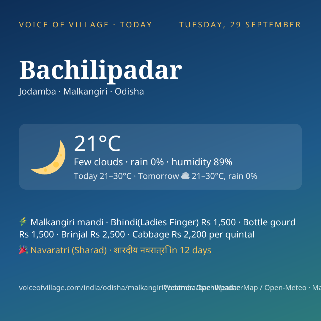 Bachilipadar today