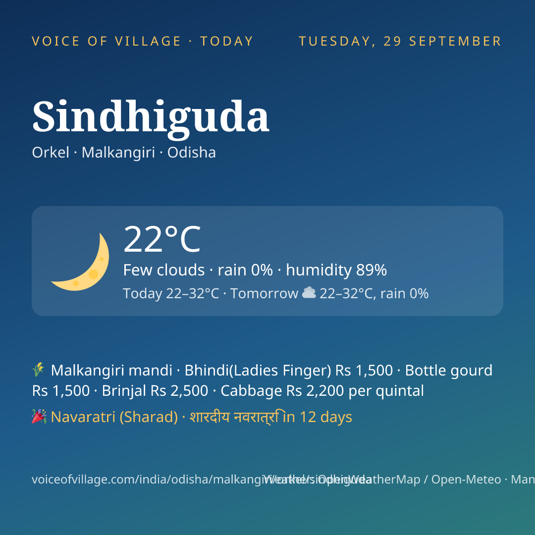 Sindhiguda today