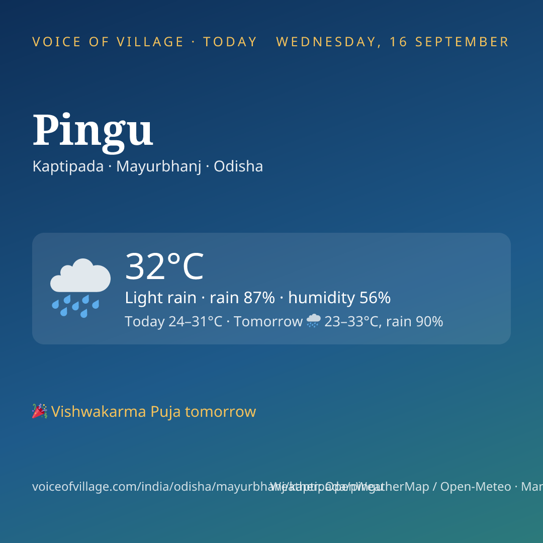 Pingu today