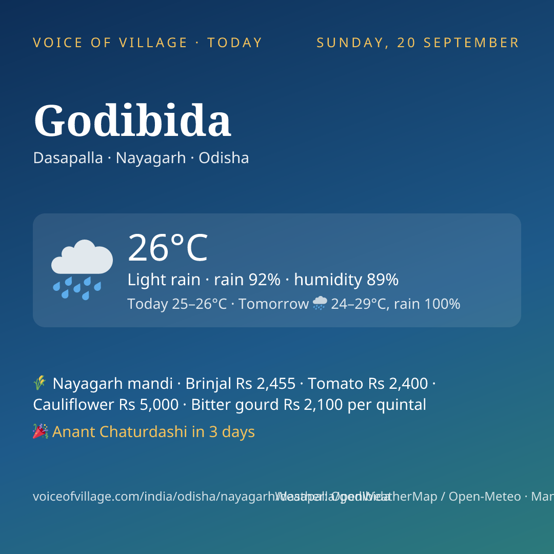 Godibida today