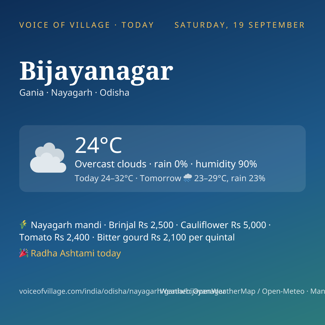 Bijayanagar today