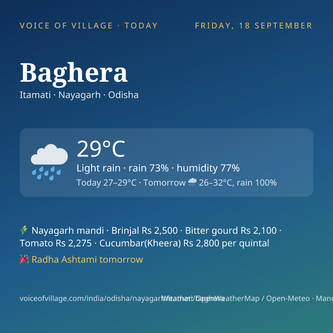 Baghera today