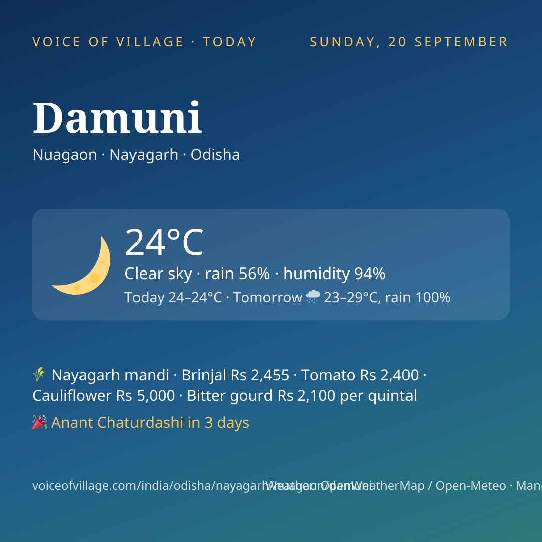 Damuni today