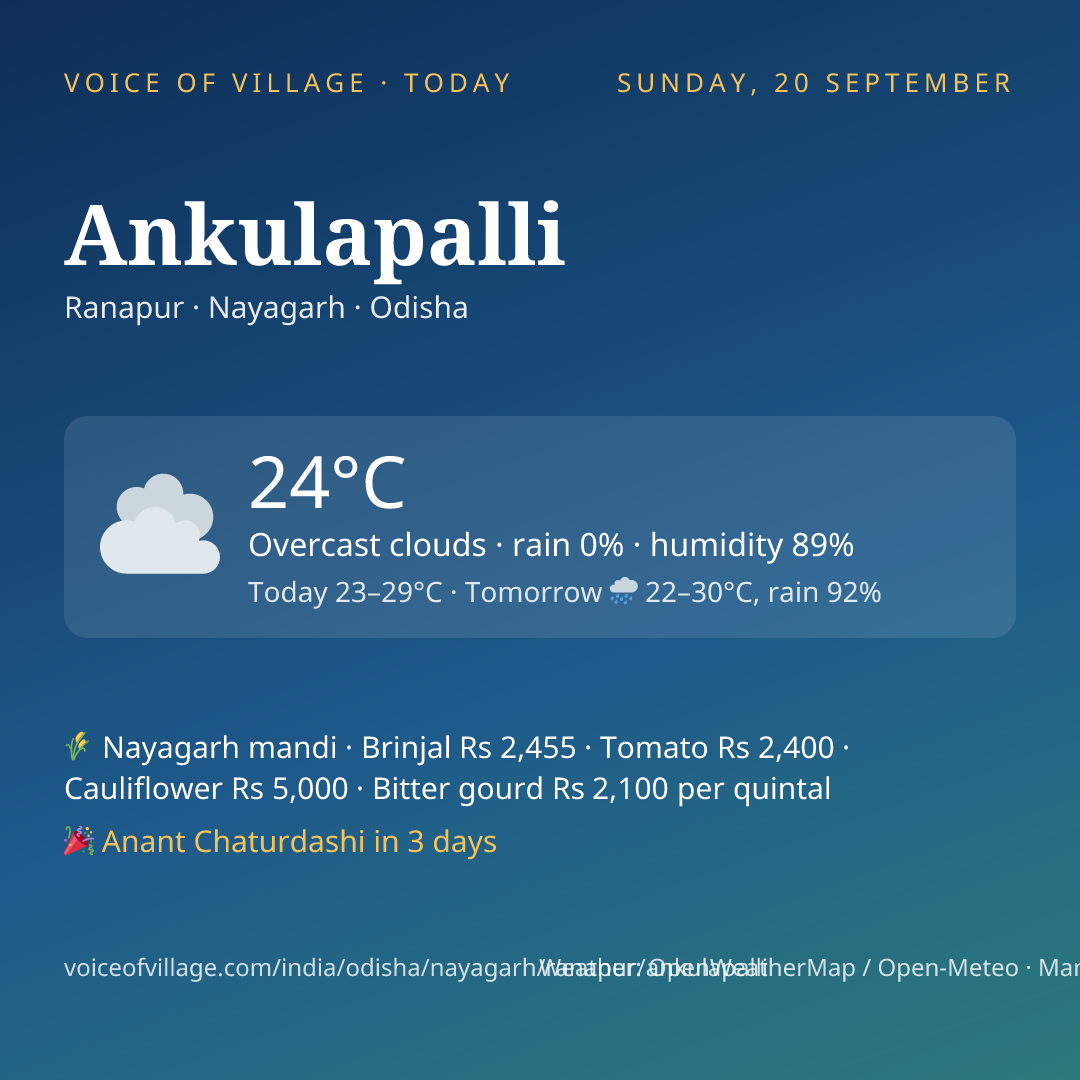 Ankulapalli today