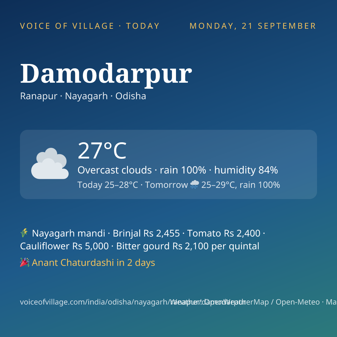 Damodarpur today