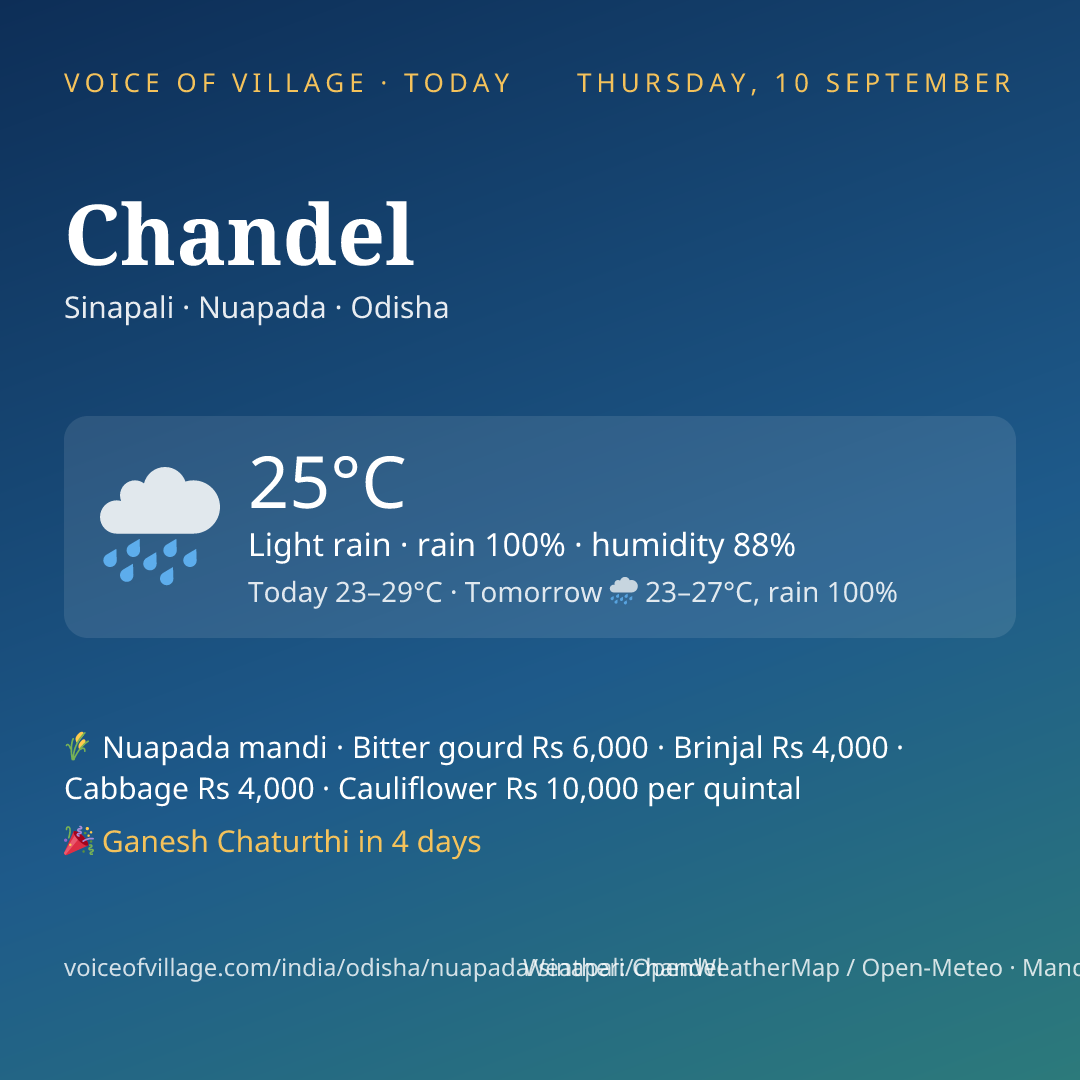 Chandel today