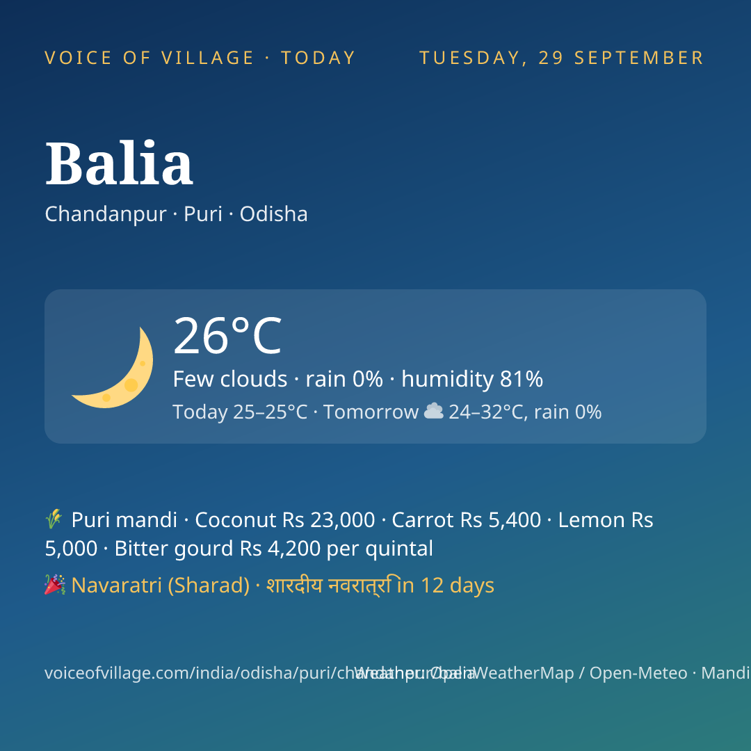 Balia today
