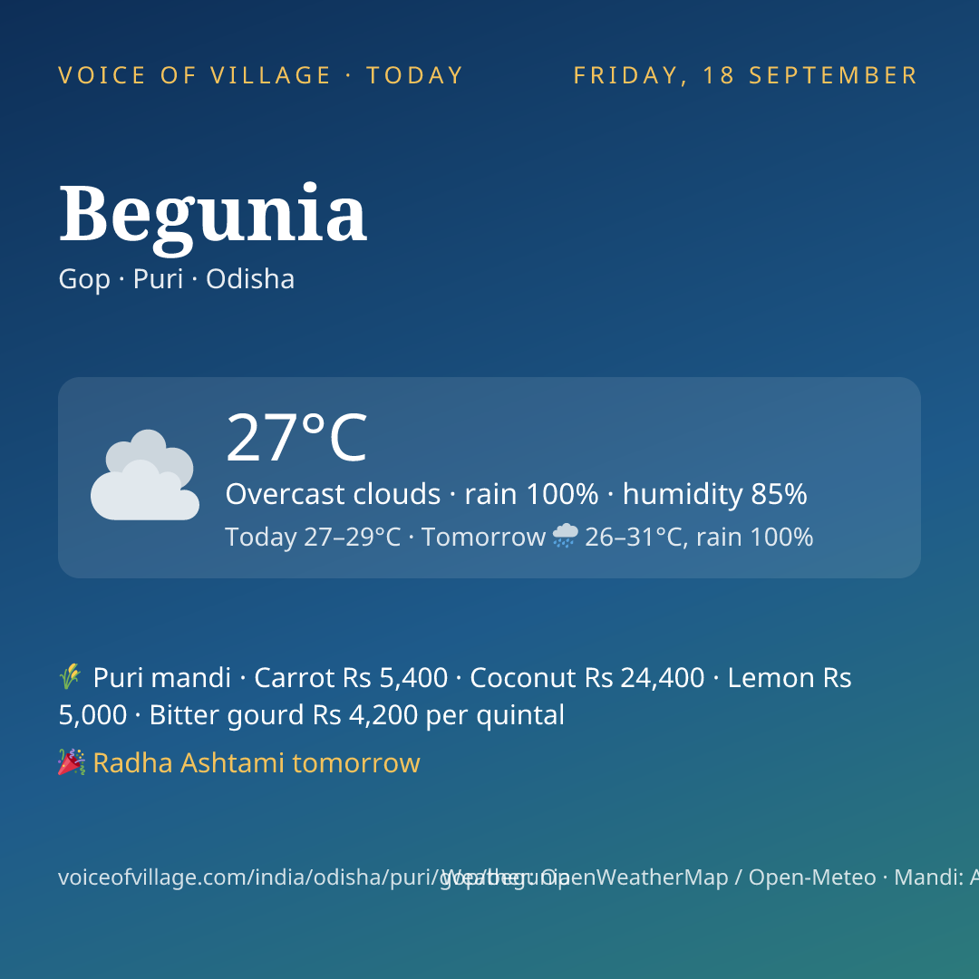 Begunia today