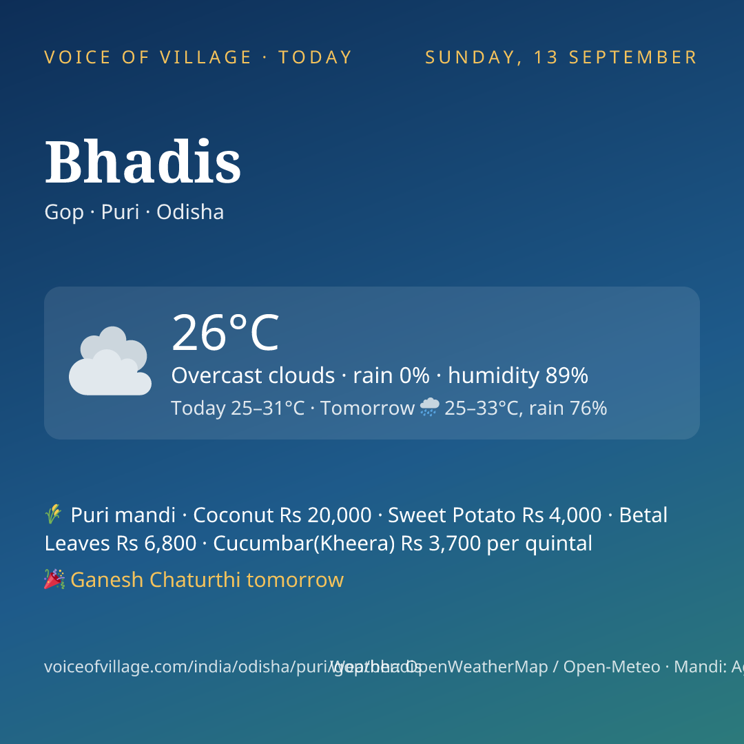 Bhadis today