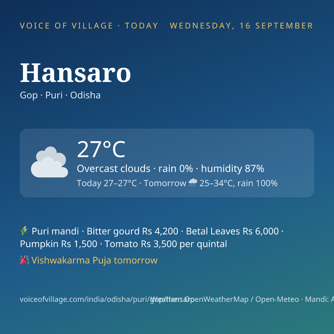 Hansaro today