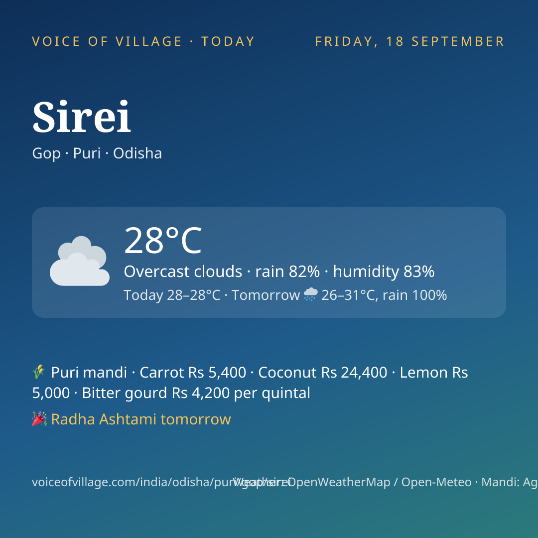 Sirei today