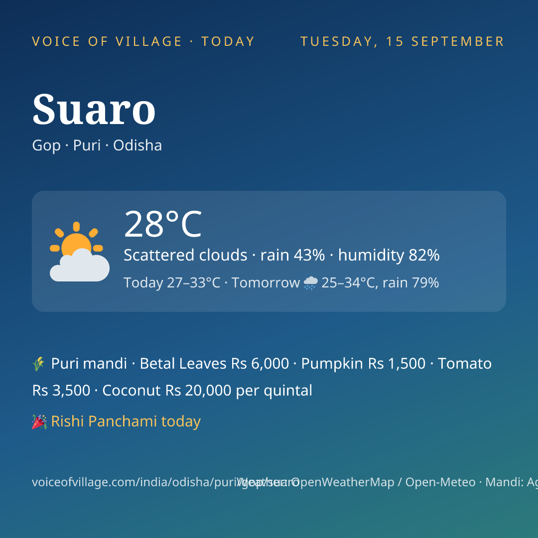 Suaro today