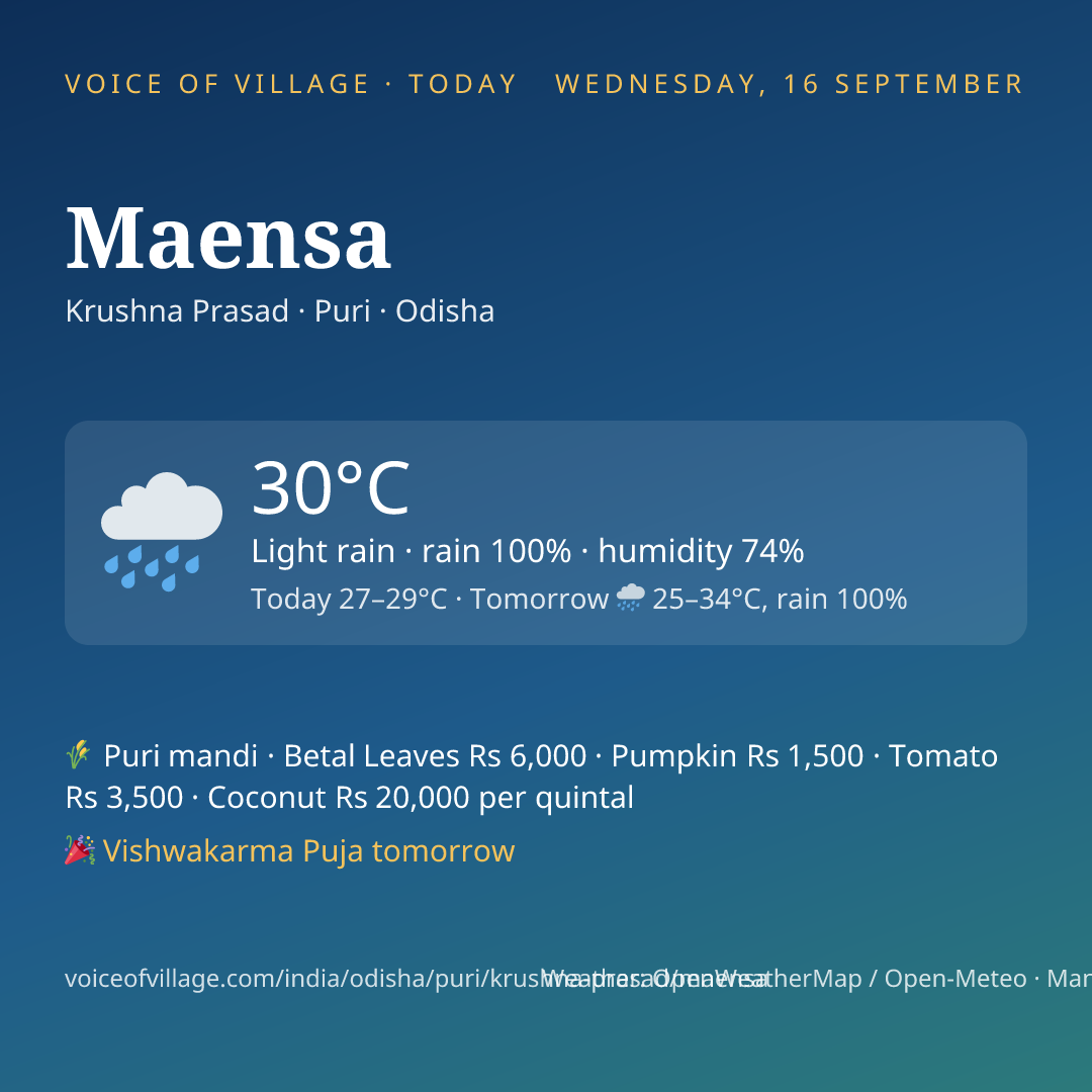 Maensa today